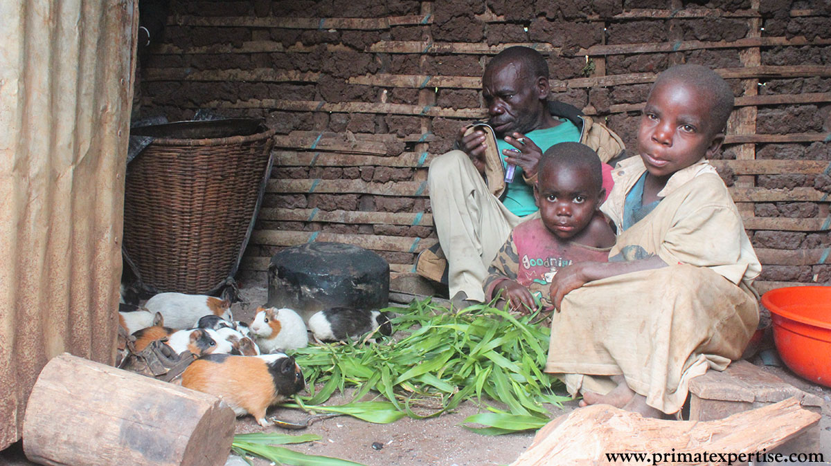 Figure 3: Mr. Cokozi Kembe one of the beneficiaries in guinea pigs surrounded by his children in his house at Buyungule village.